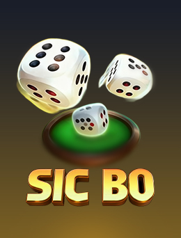 IPL cricket betting